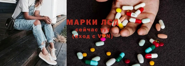 гашик Аркадак