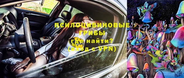 Альфа ПВП Арсеньев