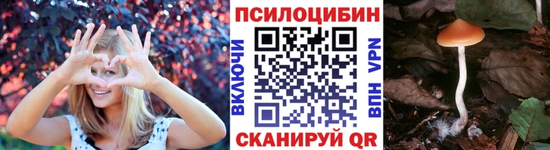 где купить наркотик Жигулёвск Псилоцибиновые грибы GOLDEN TEACHER